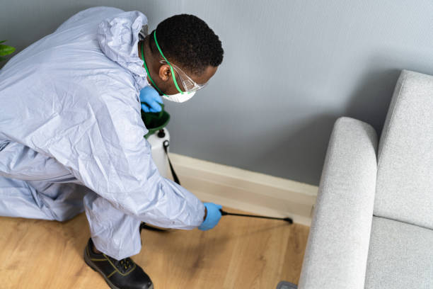 Best Fumigation Services  in North Gates, NY